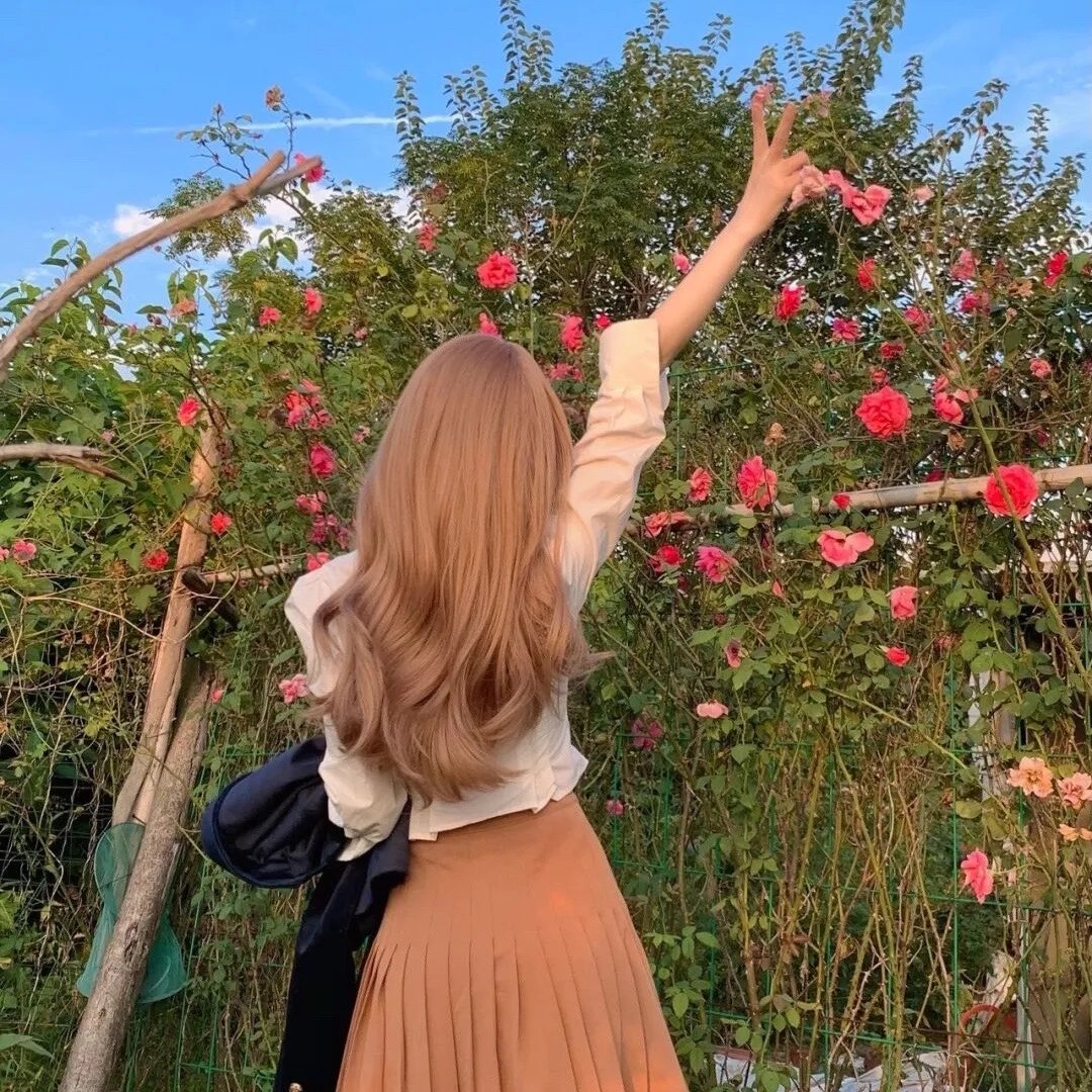 古今横跳鉴珍宝