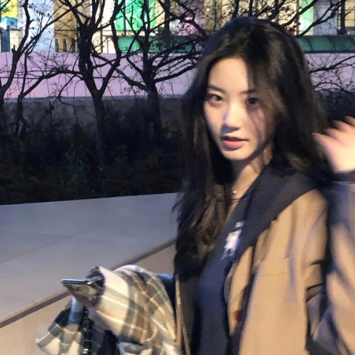 龙门驿站之蝴蝶飞